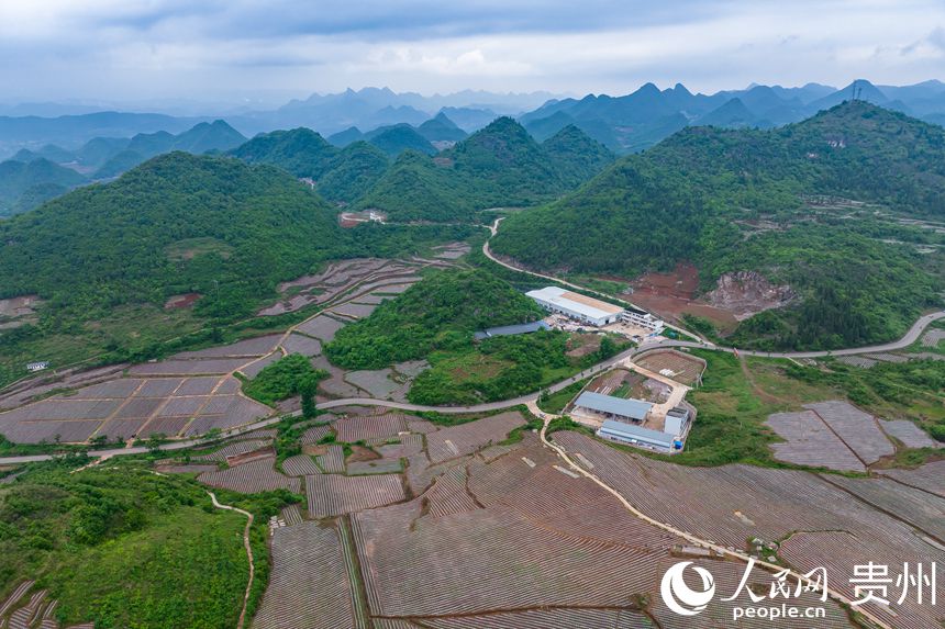 ����ɽ���еİ���G悲��״��r�����W Ϳ���z