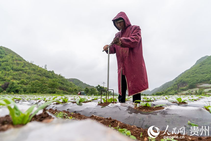 ����G悲��״�����������Є���������W Ϳ���z