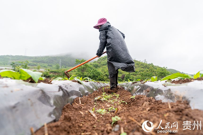 ����G悲��״�����������Є���������W Ϳ���z