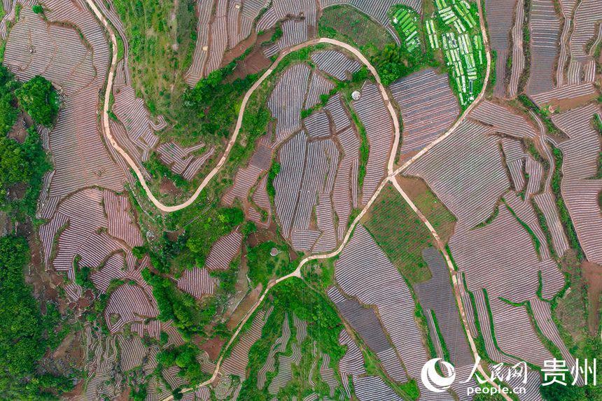 ���w����Ĥ���r(n��ng)��[������?sh��)ش��������¸����ܴa������W(w��ng) Ϳ���z