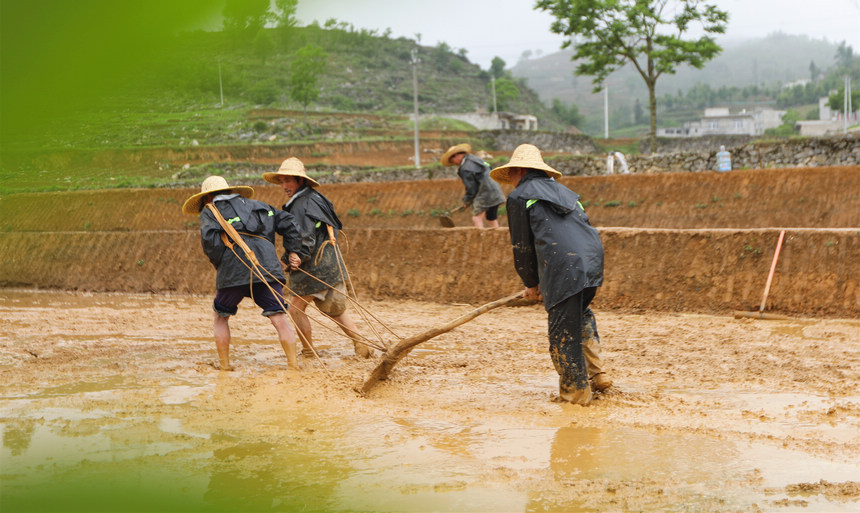 �F�ݴ󷽣�������ˮ���ĳ���������