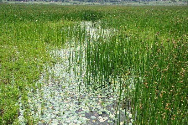 �ݺ����ֲ��Ⱥ�䡣�F��ʡ�֘I�ֹ��D