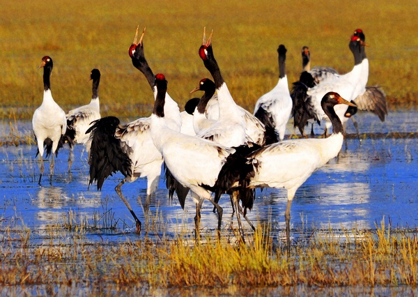 威寧草海。孔寧康攝