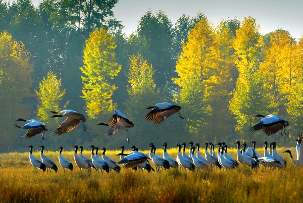 �����ݺ����F��ʡ�֘I�ֹ��D