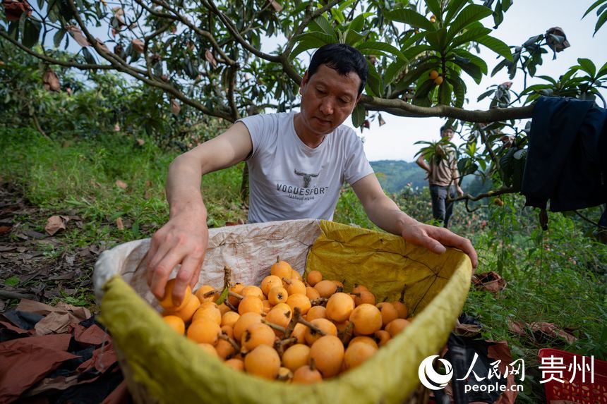 �����������턂��ժ�����ˡ�����W Ϳ���z