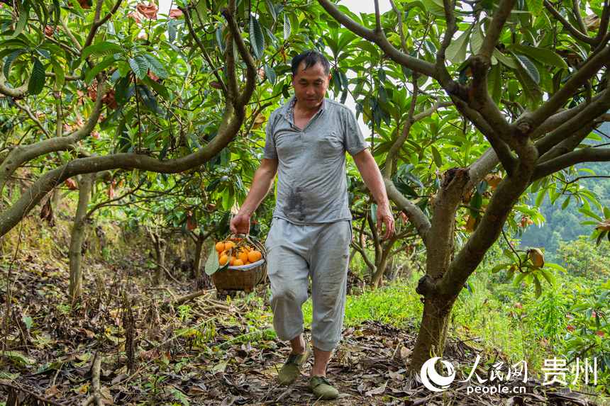 �����ڲ�ժ���ˡ�����W ���z