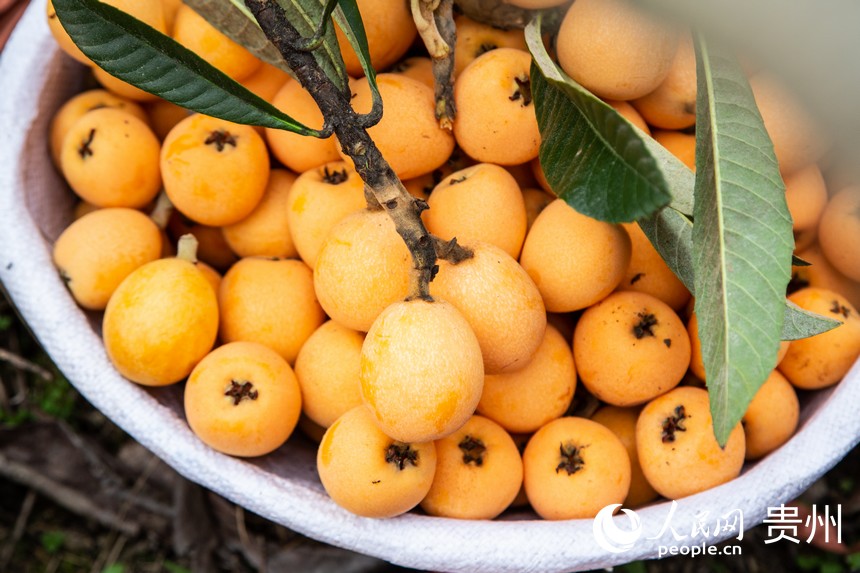 ���SM�ĸ������ˡ�����W ���z