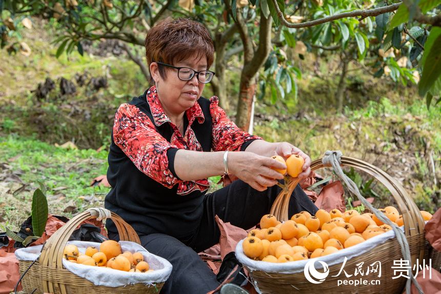 ���������������ˡ�����W(w��ng) ���z