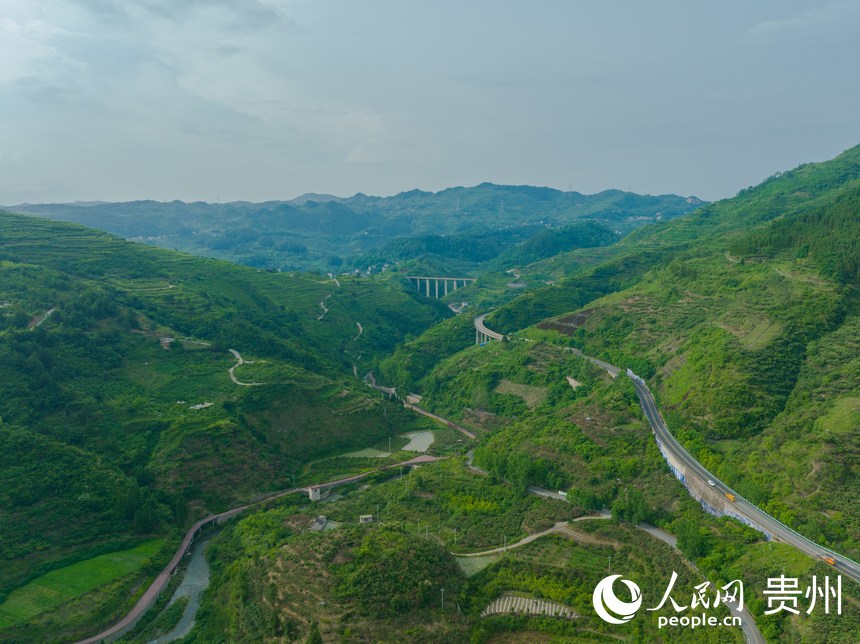 ���V�����ˮa�Iȫò������W Ϳ���z