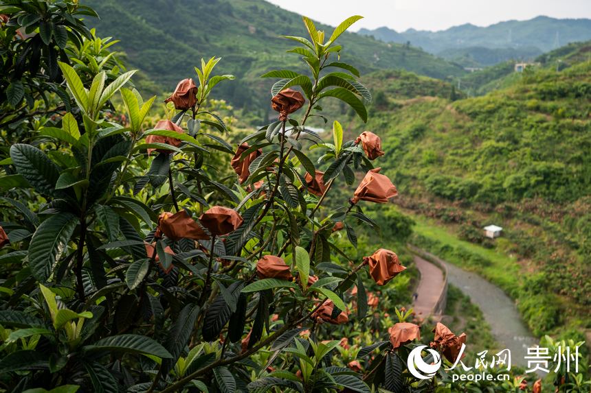 ���˒�M֦�^������W(w��ng) Ϳ���z