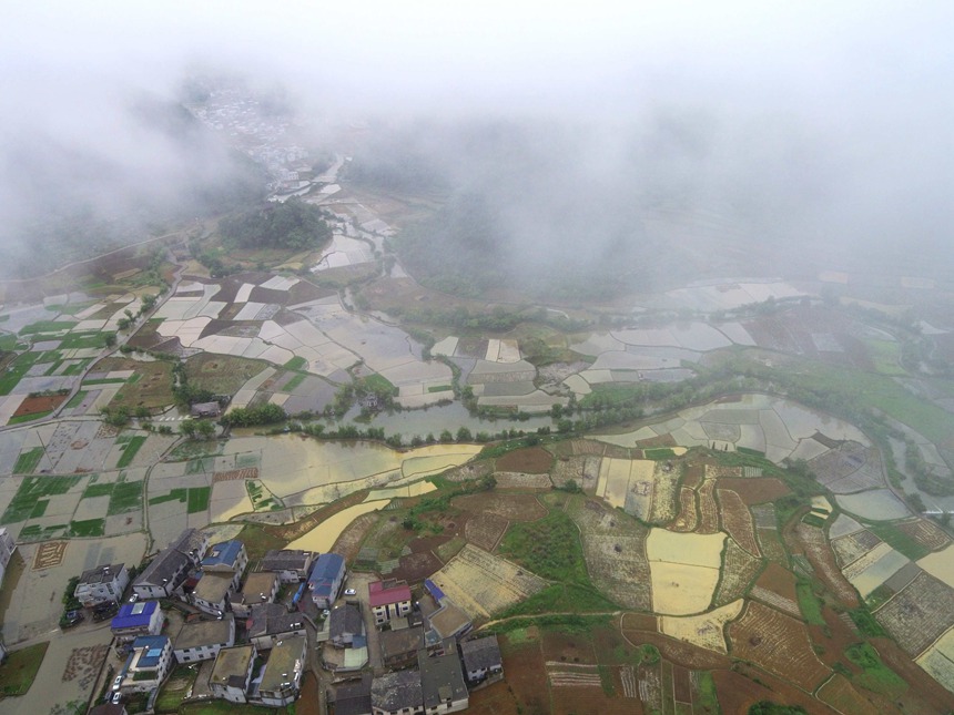 ���������^(q��)�������(zh��n)�U�����������t�z