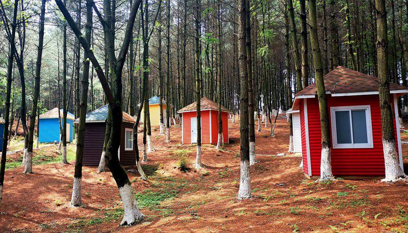 6��5�գ��F��ʡ�󷽿hͯԒ���P���c���gС�ݡ����F�s�z