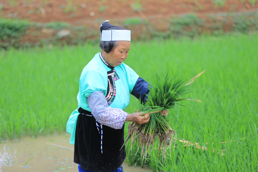 �������������t�z