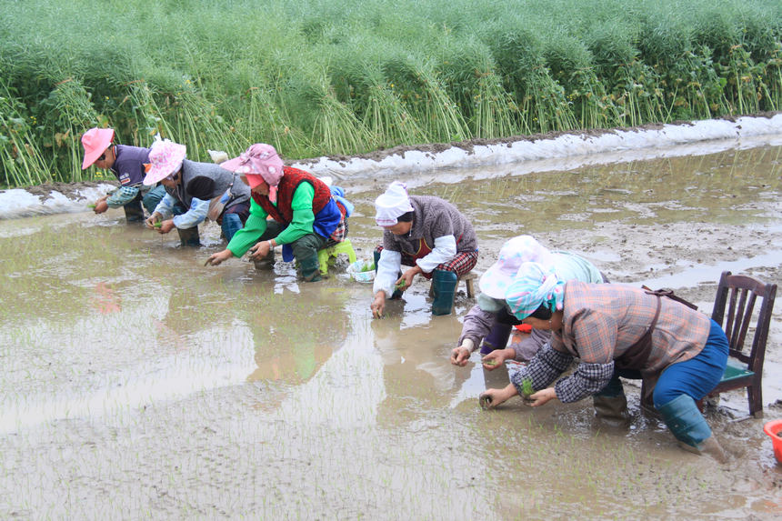 ��С���������t�z