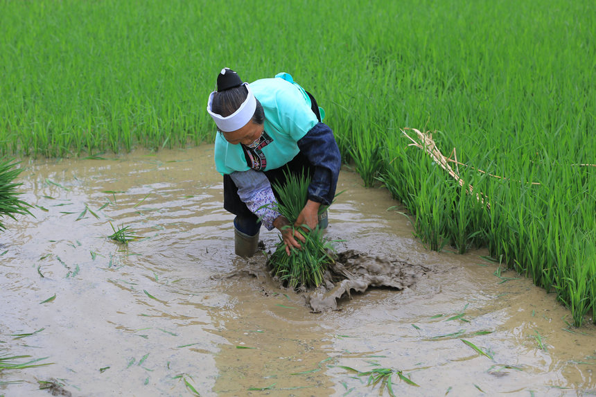 �Դ����������t�z