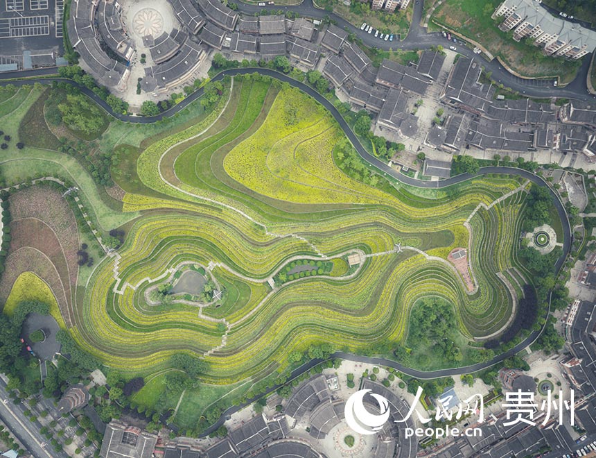  ���Ĵ󷽹����������W(w��ng) �����ܔz