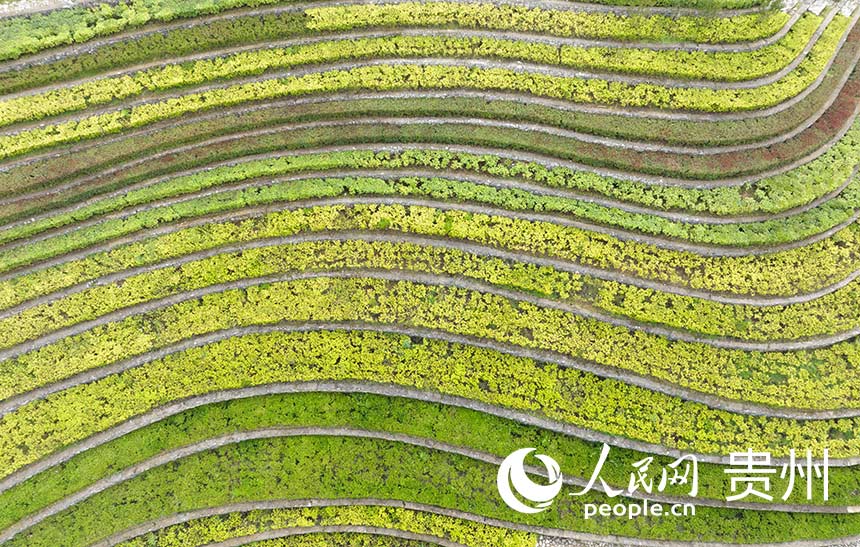  ���Ĵ󷽹����������W(w��ng) �����ܔz