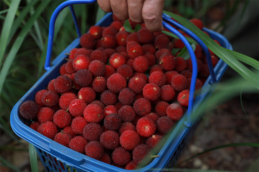 ����ė�÷׌�˴������� ������ϔz