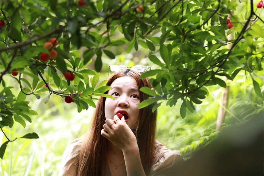 �ο���Ʒ�L��÷���ǲ��B�z