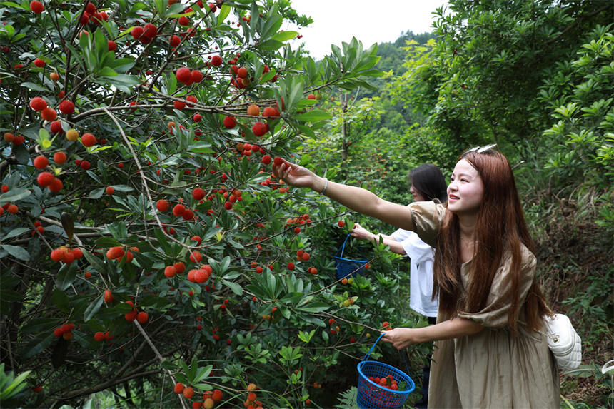 �ο��ڄ��ӿh��Ȫ���ժ��÷ ������ϔz