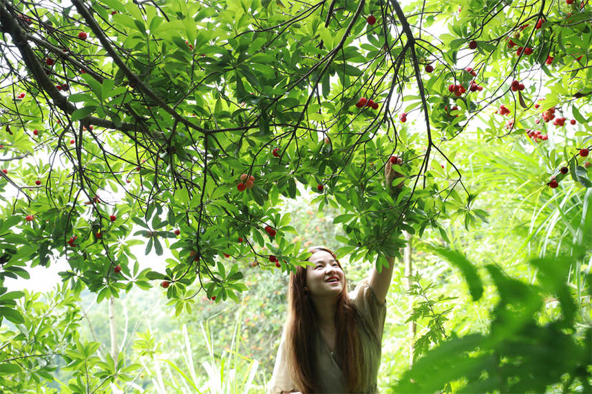 �ο��ڄ��ӿh��Ȫ���ժ��÷ ������ϔz