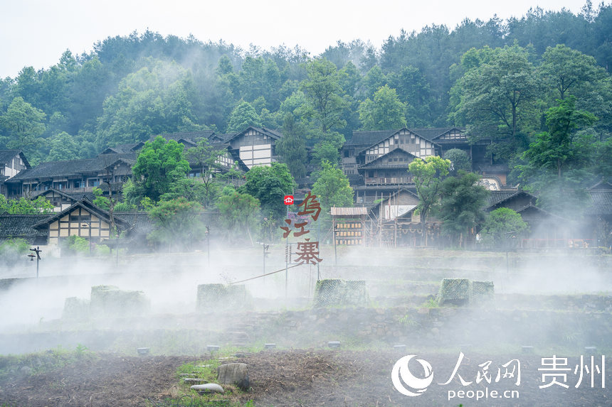 ���F�����[���F(xi��n)��ǭ�����_ľ�ǡ�����W(w��ng) Ϳ���z