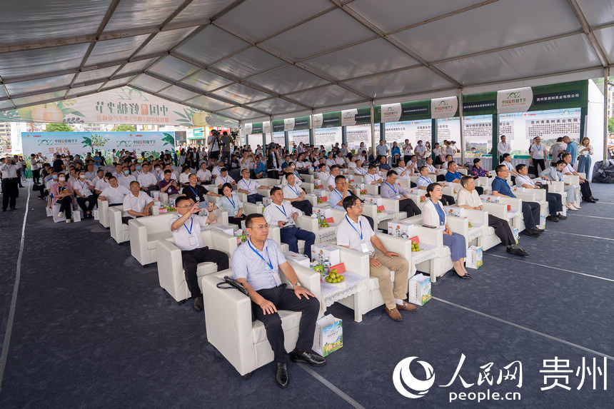 2 2022�Ї���悌���������_Ļ�F��������W Ϳ�� �z