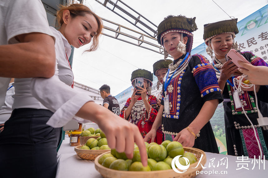 3 2022�Ї���悌���������_Ļ�F�����������e�˽���������W Ϳ�� �z.jpg