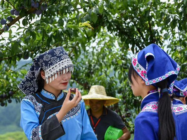 �������ժ���_��h��ý�w���Ĺ��D   