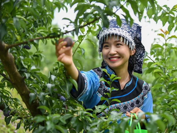 �������ժ���_��h��ý�w���Ĺ��D 