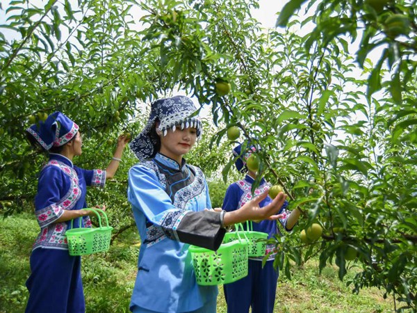 �������ժ���_��h��ý�w���Ĺ��D