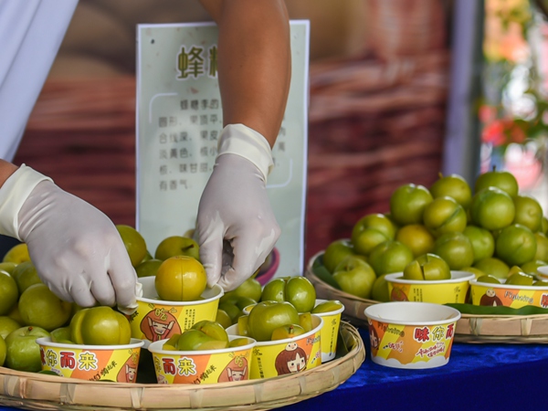 �������S�ա��_��h��ý�w���Ĺ��D