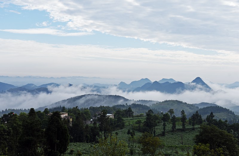 2022��6��28���峿���F��ʡǭ�����Fʯ���������l�\����һƬ���F֮�У��q��һ��������ˮī������܊�f�z