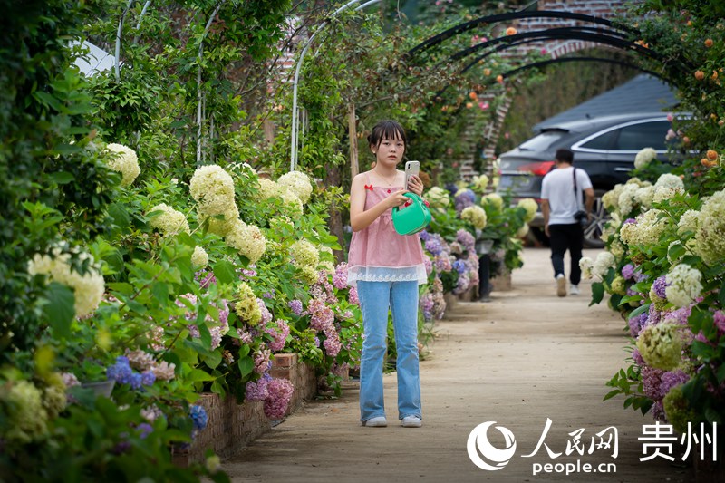 �ο��ڻ����^�p�@�����ա�����W Ϳ���z