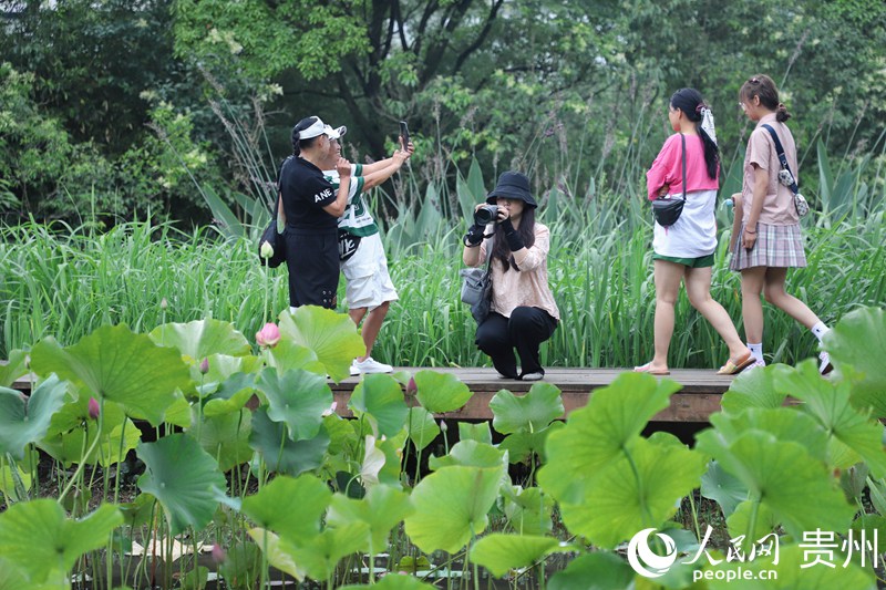 �ο���ʮ��Ӟ��p�ɡ�����W ��m�Ɣz