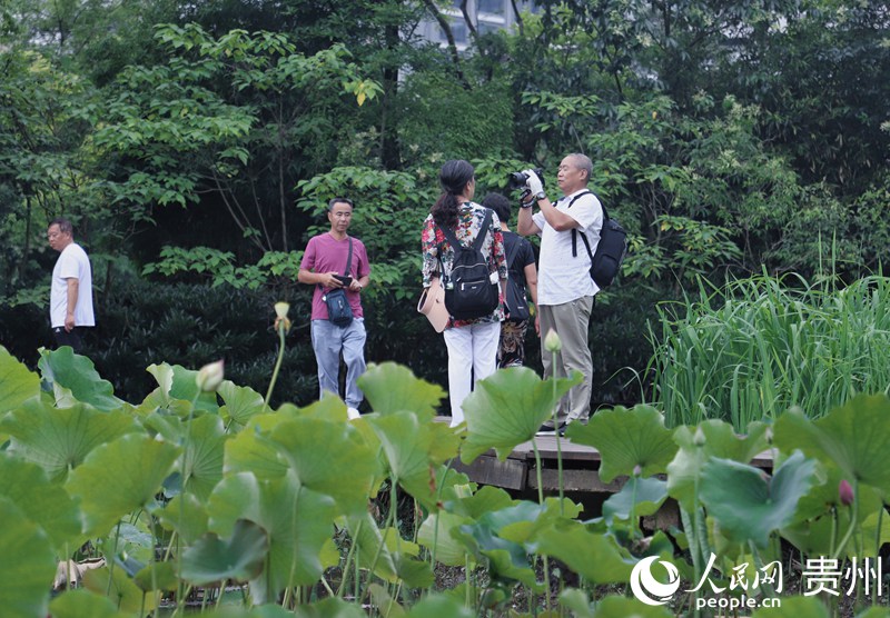 �ο���ʮ��Ӟ��p�ɡ�����W(w��ng) ��m�Ɣz