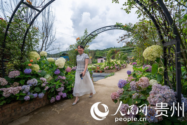 游客在蓬萊村村民自建的花圃內游玩。人民網 涂敏 攝.jpg