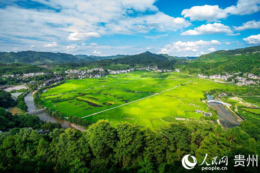 被清龍河環繞的底窩壩壩區。人民網 涂敏攝