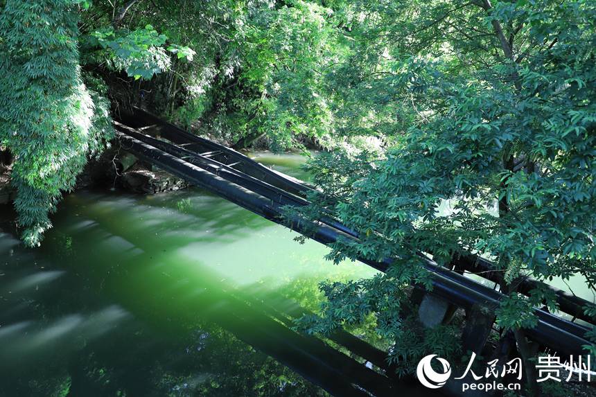 阿哈湖公園美景。人民網 顧蘭云攝