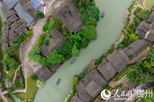 烏江寨內，幾艘搖櫓船穿行于烏江之上。人民網 涂敏攝