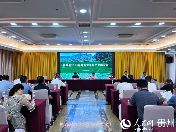 貴州省2022年鮮食玉米生產發展大會現場。人民網 陳潔泉攝