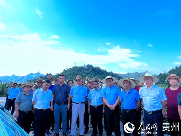 觀摩鮮食玉米標準化生產示范現場。人民網 陳潔泉攝