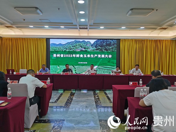 會議現場。人民網 陳潔泉攝