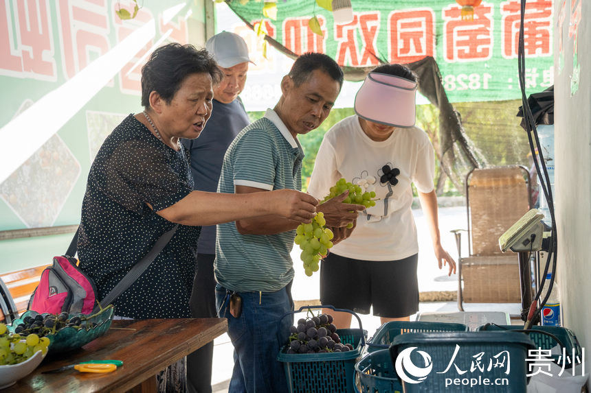 汪令章在為游客采摘的葡萄稱重。人民網 涂敏攝