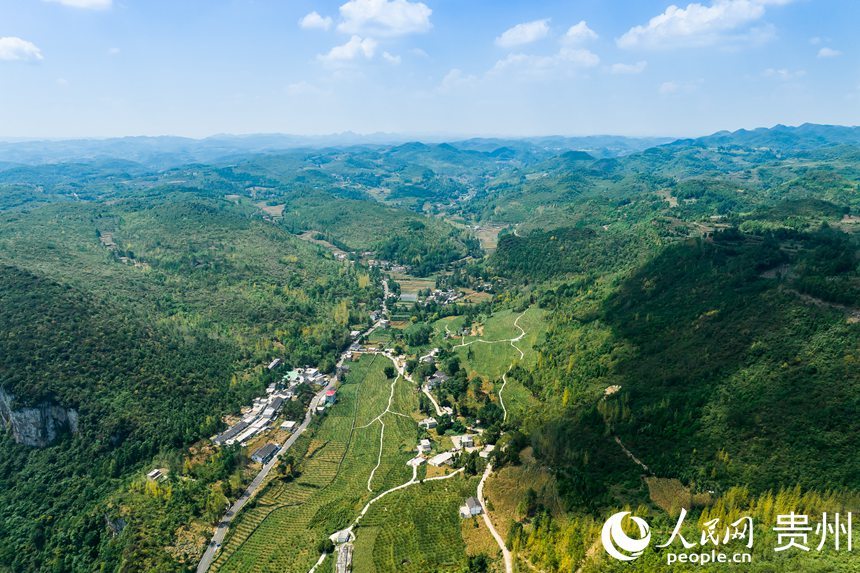 航拍孫源才的金秋李園。人民網 涂敏攝