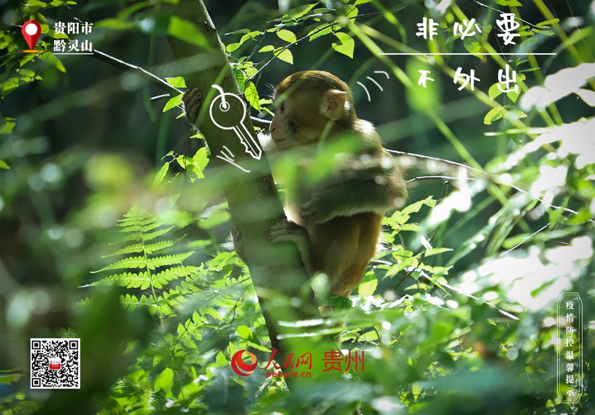 還是在“家里”舒服，有吃有喝有樂！