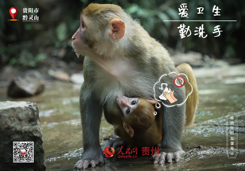 預防新冠光有媽媽可不夠！