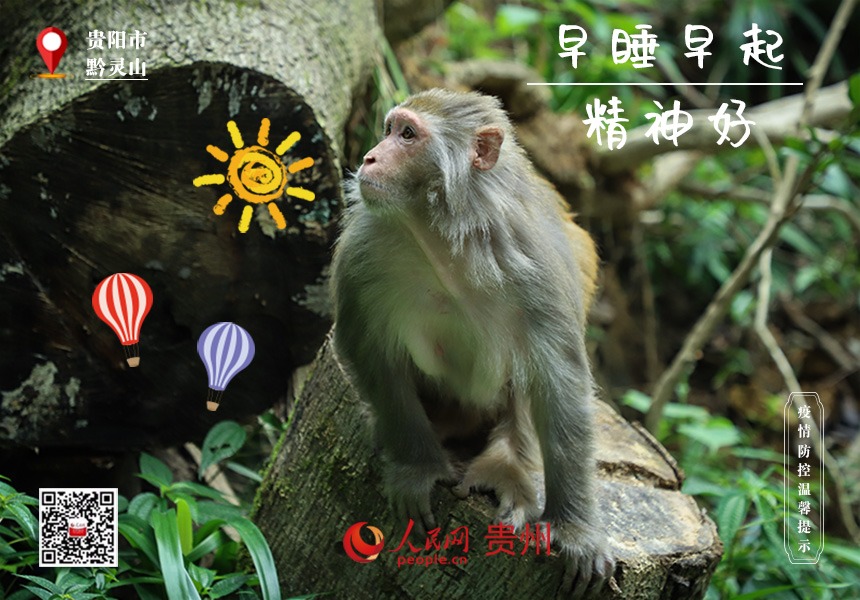 想長壽，作息規律才是王道