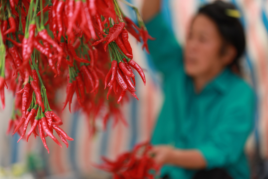 9月21日，村民在晾曬辣椒。