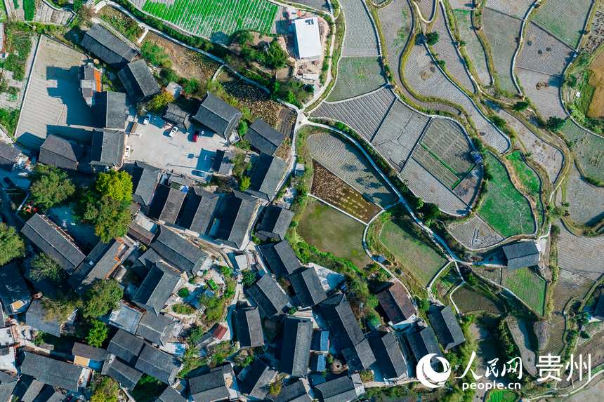 航拍大山深處的雷山縣西江鎮龍塘村。人民網 涂敏攝